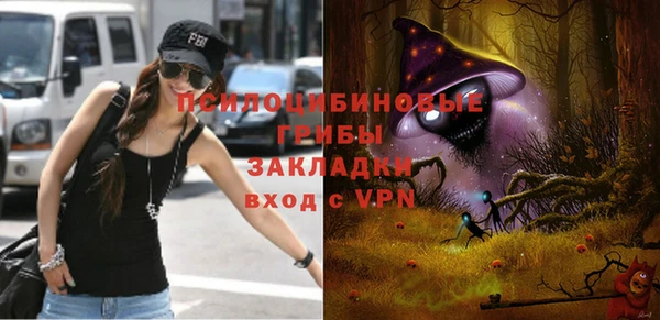 ГАЛЛЮЦИНОГЕННЫЕ ГРИБЫ Алзамай