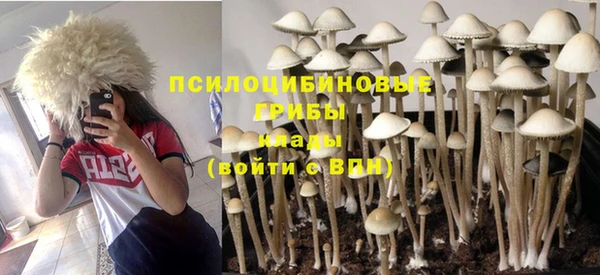 винт Алексин
