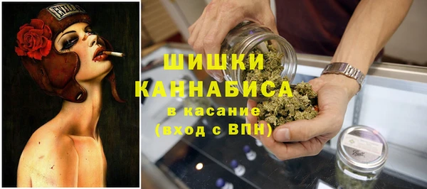 стаф Новодвинск