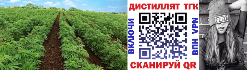 нарко площадка состав  Могоча  Дистиллят ТГК вейп  купить закладку 